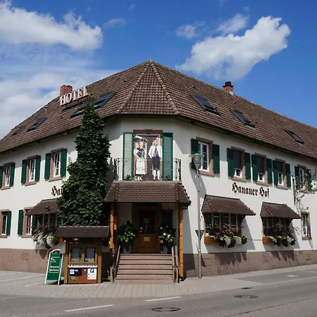 Hanauerhof 3*