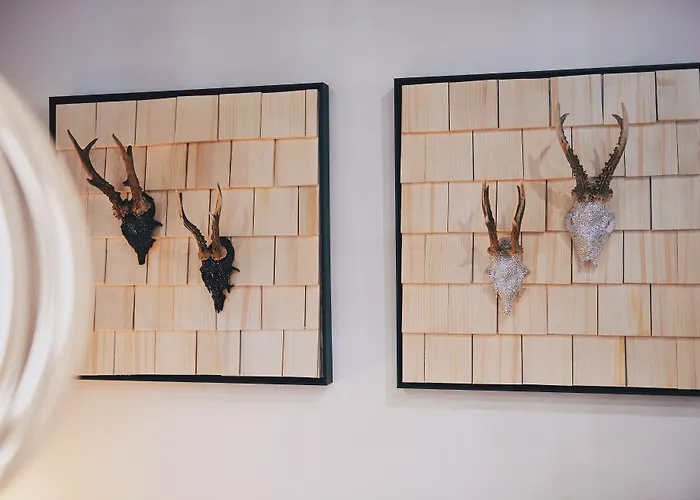 Hanauerhof 3* Appenweier